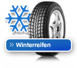 CarWinter