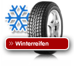 CarWinter
